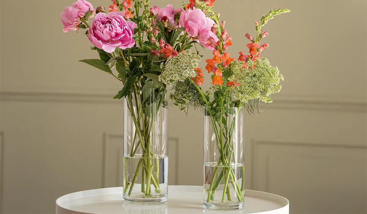 Vase Cylinder Vase Cylinder